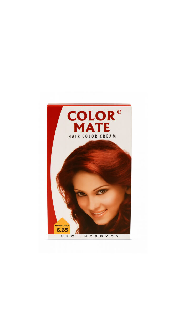 COLOR MATE Burgundy 6.65